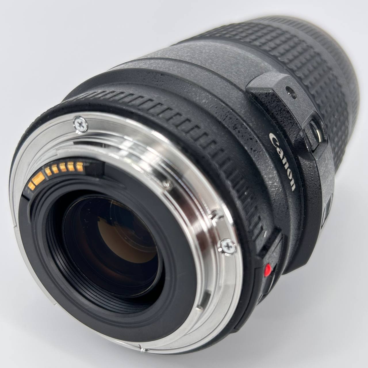 Canon EF 70-300mm f/4-5.6 IS USM