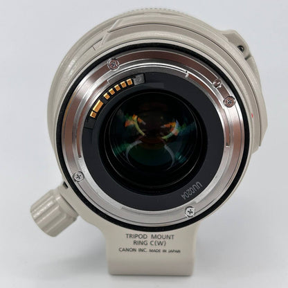 Canon EF 28-300mm f/3.5-5.6 L IS USM