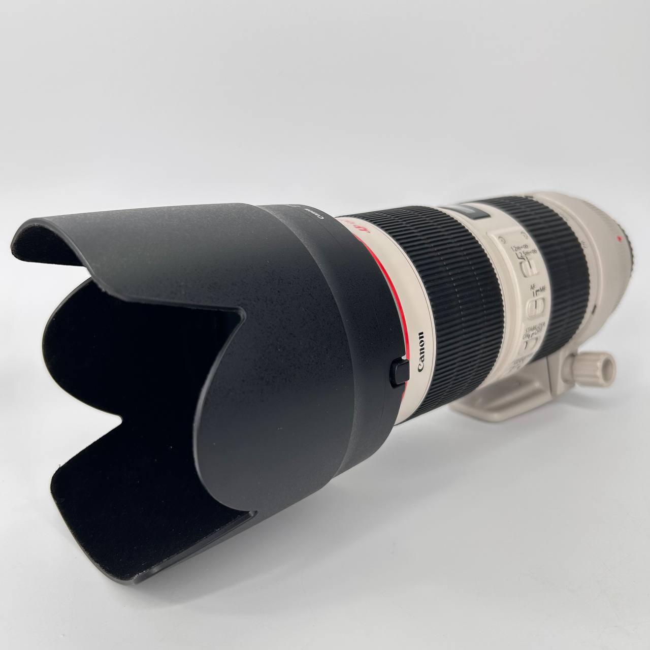 Canon EF 70-200mm f/2.8 L IS II USM