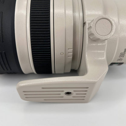 Canon EF 28-300mm f/3.5-5.6 L IS USM