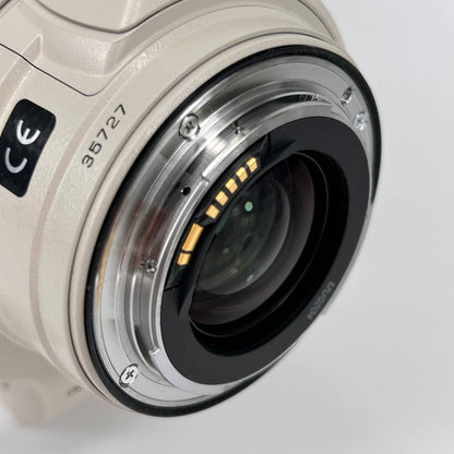 Canon EF 28-300mm f/3.5-5.6 L IS USM