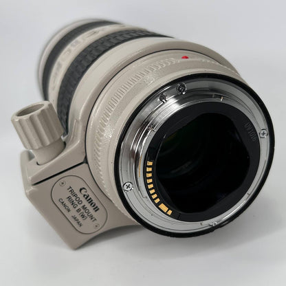 Canon EF 70-200mm f/2.8 L IS USM