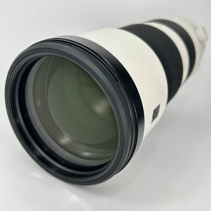 Sony FE 200-600mm f/5.6-6.3 G OSS