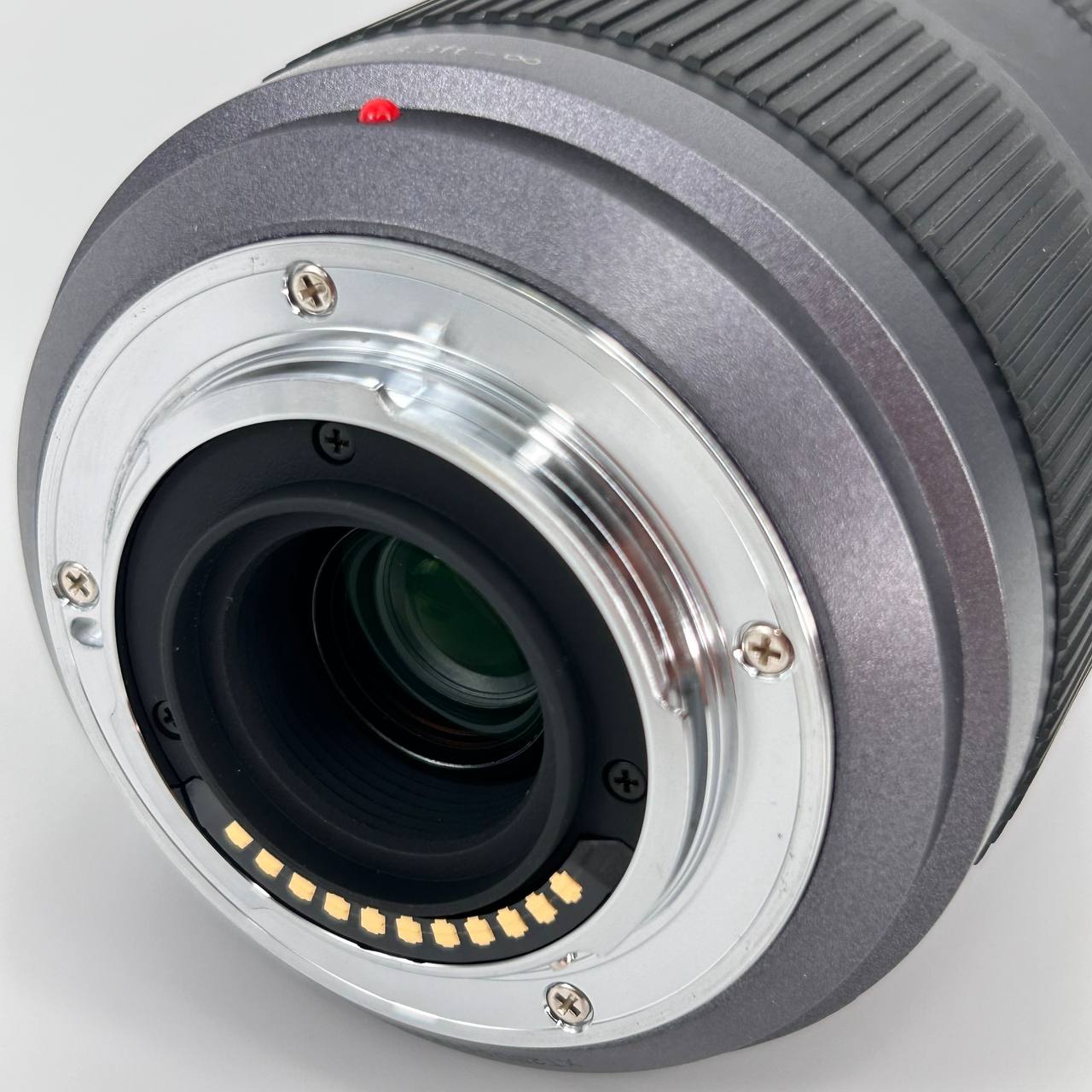 Panasonic Lumix G Vario 45-200mm f/4-5.6 Mega O.I.S.
