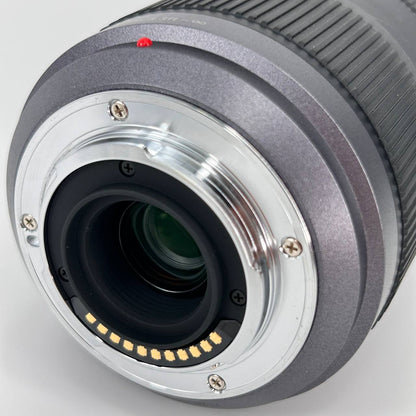 Panasonic Lumix G Vario 45-200mm f/4-5.6 Mega O.I.S.
