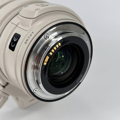 Canon EF 28-300mm f/3.5-5.6 L IS USM
