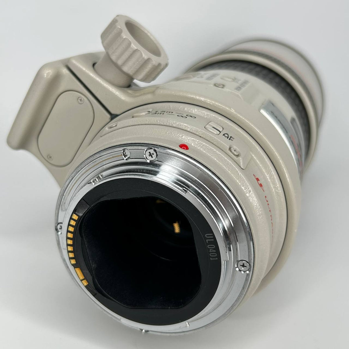 Canon EF 28-300mm f/3.5-5.6 L IS USM