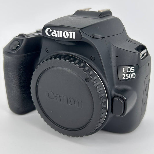 Canon EOS 250D + Obiettivo EF-S 18-55mm f/4-5.6 IS STM Kit