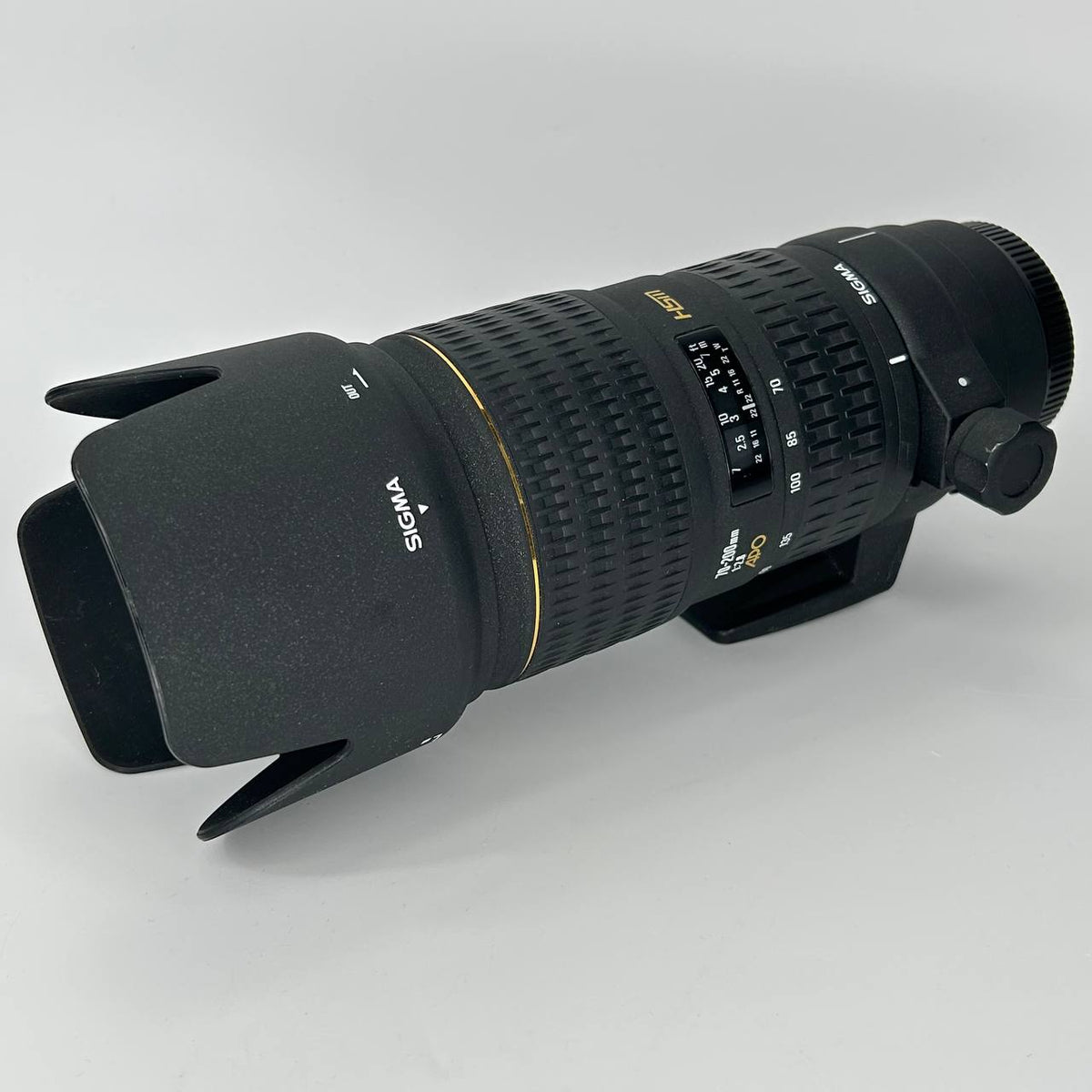 Sigma 70-200mm f/2.8 EX APO HSM - Attacco Canon EF usata garantita