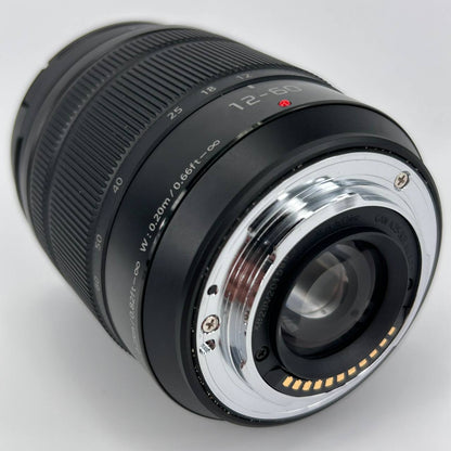 Panasonic Lumix DMC-G80M