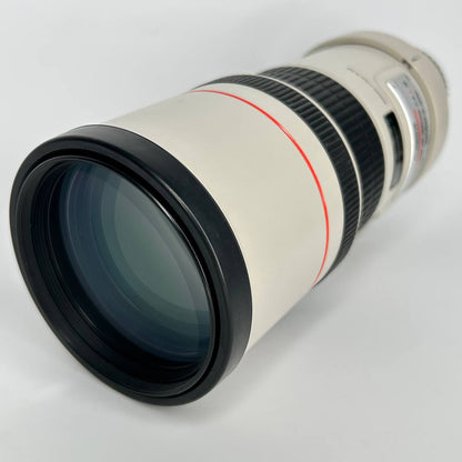 Canon EF 28-300mm f/3.5-5.6 L IS USM
