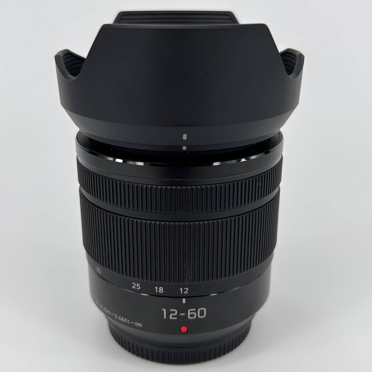 Panasonic Lumix DMC-G80M