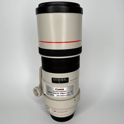 Canon EF 28-300mm f/3.5-5.6 L IS USM