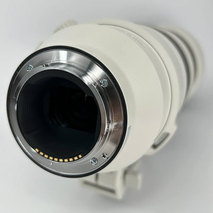 Sony FE 200-600mm f/5.6-6.3 G OSS